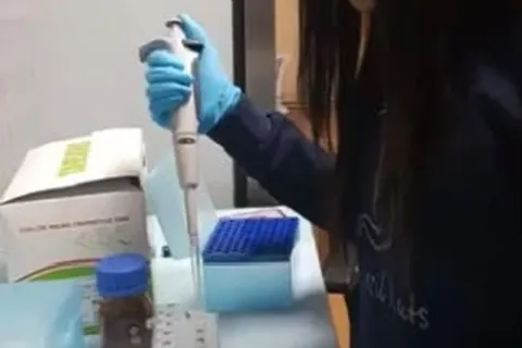 Sample preparation with a pipette in the laboratory